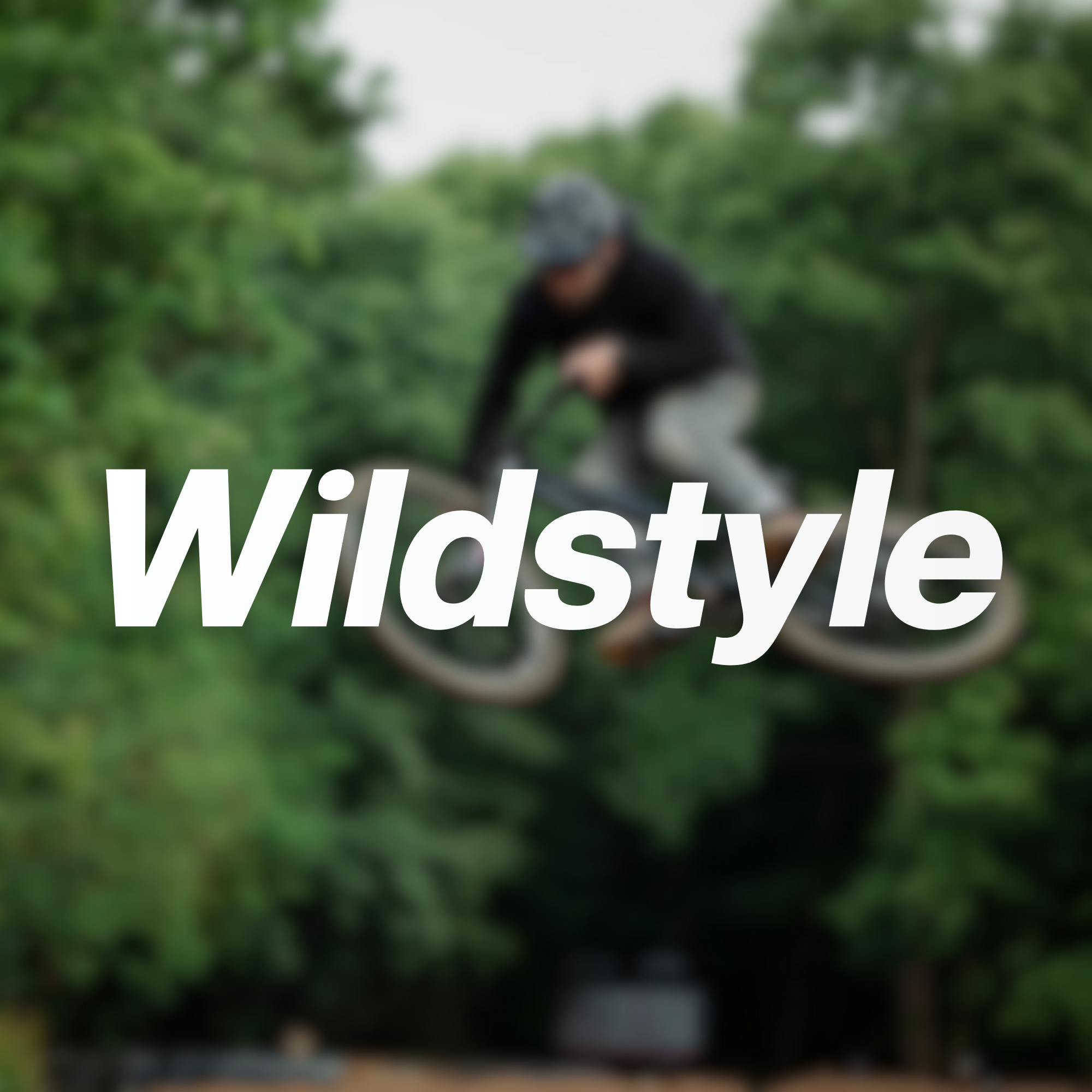 Wildstyle